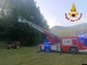 Cittiglio, parapendista in difficoltà resta appeso a un albero Cittiglio, parapendista in difficoltà resta appeso a un albero