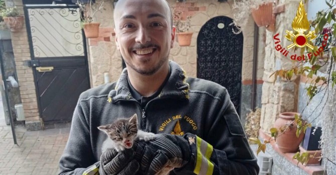 Gattino incastrato da due giorni nella canna fumaria: vigili del fuoco al lavoro per tre ore per liberarlo