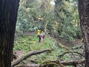 FOTO. Disperso nel bosco in Val Veddasca: salvato dall'elicottero dei vigili del fuoco