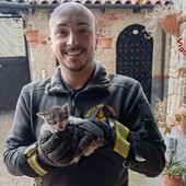 Gattino incastrato da due giorni nella canna fumaria: vigili del fuoco al lavoro per tre ore per liberarlo