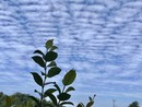 METEO. Sul Varesotto oggi possibile qualche temporale: poi sarà di nuovo afa