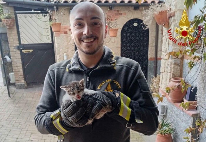 Gattino incastrato da due giorni nella canna fumaria: vigili del fuoco al lavoro per tre ore per liberarlo