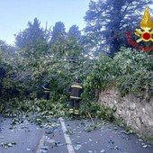 I vigili del fuoco al lavoro a Gemonio I vigili del fuoco al lavoro a Gemonio