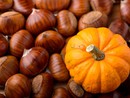 Spadroneggiano zucca, castagne e musica. Gli APPUNTAMENTI DEL WEEKEND a Busto e in Valle Olona