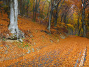 I colori dell'autunno in provincia di Varese