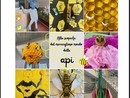 Giornata mondiale dell’ape, una mostra alla primaria De Amicis