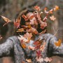 L'autunno riempie il weekend di colori e appuntamenti
