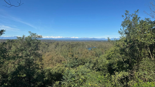 Domenica a Busto Arsizio arriva Agrivarese: «Un’occasione per offrire spunti concreti per vivere meglio»