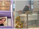 L'ultimo tocco di mamma Angela alla sua Elisa nella sala del commiato del cimitero di Giubiano