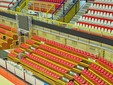 Foto ufficio stampa e comunicazione Uyba Volley