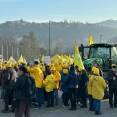 Mercosur, Coldiretti Varese: stop alla deriva  autocratica, Parlamento rinvia a giustizia Ue l’accordo