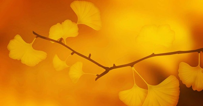 EVENTI. Autunno è colori, sapori e note: nel weekend più che mai