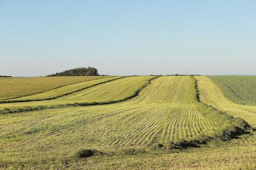 Imprese agricole: un bando per contributi a fondo perduto fino a 5.000 euro