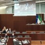 L’intervento al Pirellone dell’assessore Caruso. Sotto, con il relatore Invernici