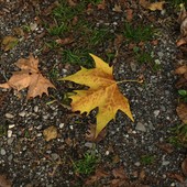 «Il weekend inizia con le nuvole e finisce con la pioggia»