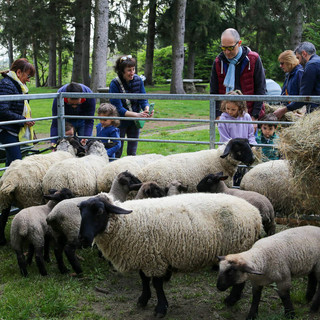 Ad Agrivarese in treno: biglietto speciale da tutta la Lombardia
