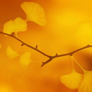 EVENTI. Autunno è colori, sapori e note: nel weekend più che mai