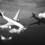Scontro sfiorato nei cieli della Siberia, un aereo era diretto a Malpensa