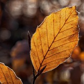 Ultima giornata mite prima di una domenica nuvolosa e di un lunedì con qualche pioggia: oggi ancora 20°, poi massime giù anche di 8 gradi Ultima giornata mite prima di una domenica nuvolosa e di un lunedì con qualche pioggia: oggi ancora 20°, poi massime giù anche di 8 gradi