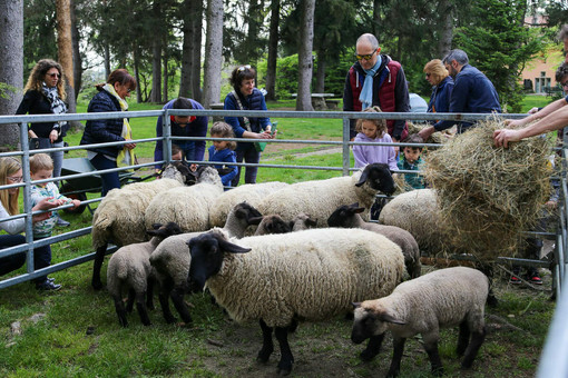 Ad Agrivarese in treno: biglietto speciale da tutta la Lombardia Ad Agrivarese in treno: biglietto speciale da tutta la Lombardia