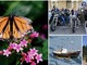 Fiori, motori, foto e tante chance di stare insieme: un weekend che scoppia di eventi nel Bustese