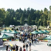 Agrivarese 2026 esalta profumi e colori della nostra terra. «Produttore e consumatore a contatto, questo è il vero "km zero"» Agrivarese 2026 esalta profumi e colori della nostra terra. «Produttore e consumatore a contatto, questo è il vero "km zero"»