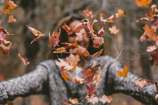 L'autunno riempie il weekend di colori e appuntamenti