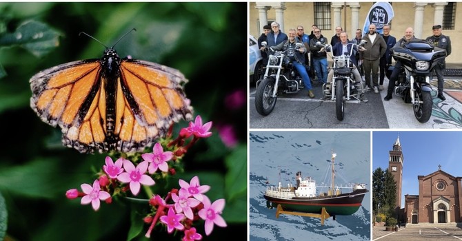 Fiori, motori, foto e tante chance di stare insieme: un weekend che scoppia di eventi nel Bustese