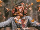 L'autunno riempie il weekend di colori e appuntamenti L'autunno riempie il weekend di colori e appuntamenti