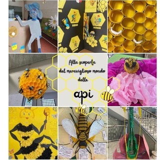 Giornata mondiale dell’ape, una mostra alla primaria De Amicis