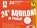 Con gli Elefanti Volanti, a Olgiate torna “Aquiloni al parco”