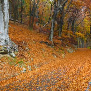 I colori dell'autunno in provincia di Varese