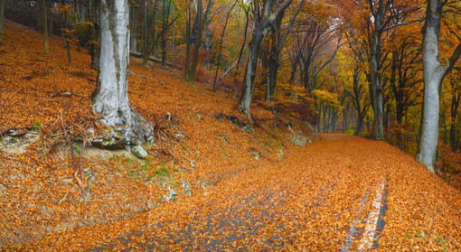 I colori dell'autunno in provincia di Varese