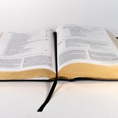 "i foci, mei di paòl" - i fatti, meglio delle parole "i foci, mei di paòl" - i fatti, meglio delle parole