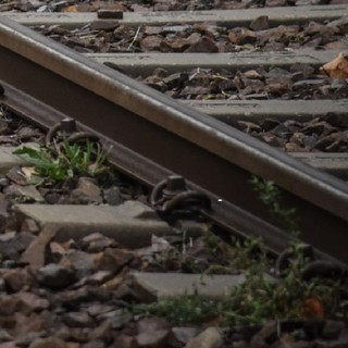 Investito dal treno lungo la Saronno-Milano, muore ragazzo di 19 anni