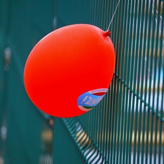 Palloncini nel vento? No, grazie