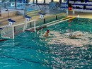 Busto Pallanuoto Paglini Store, il coach carica i ragazzi: «Vi voglio battaglieri»