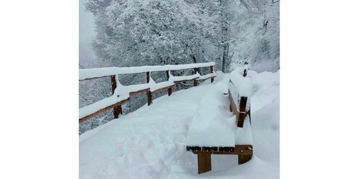 In settimana potremmo vedere la prima neve al Belvedere del Campo dei Fiori In settimana potremmo vedere la prima neve al Belvedere del Campo dei Fiori