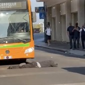 L'uomo sdraiato in strada ieri in via Morosini L'uomo sdraiato in strada ieri in via Morosini