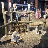 Cultura, Regione Lombardia sostiene i presepi viventi e l'arte presepistica con un bando da oltre 222mila euro Cultura, Regione Lombardia sostiene i presepi viventi e l'arte presepistica con un bando da oltre 222mila euro