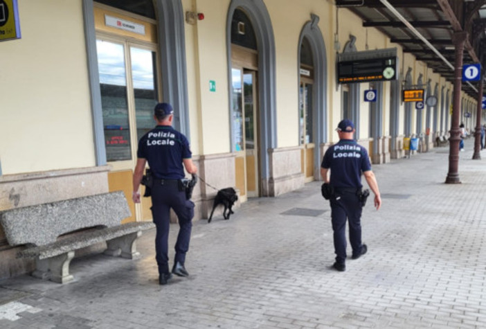 “Zorro” in azione a Luino: l’unità cinofila della Polizia Locale di Gallarate al mercato e in stazione