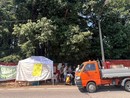 FOTO. Gallarate, bosco di via Curtatone: smantellati i manufatti abusivi all’interno dell’area
