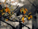 Profumo d'autunno con nuvole e pioggia. Weekend coperto