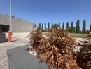 Pianta secca e telecamera in perenne attesa: il triste benvenuto al cimitero di Busto Pianta secca e telecamera in perenne attesa: il triste benvenuto al cimitero di Busto