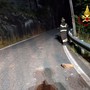 Frana nella notte sulla Statale 659 a Crodo: auto colpita dai detriti