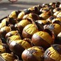 Al Parco Alto Milanese un weekend tra funghi, castagne e solidarietà Al Parco Alto Milanese un weekend tra funghi, castagne e solidarietà