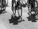 Verso Kiev: anche Busto pedala, a Varese, per la pace Verso Kiev: anche Busto pedala, a Varese, per la pace