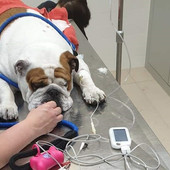 (foto d'archivio) (foto d'archivio)