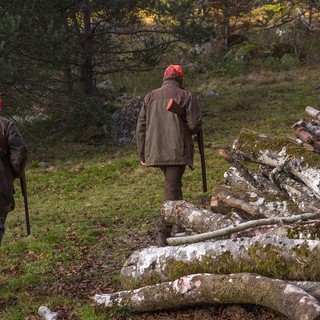 «Caccia selvaggia, sulle nuove proposte contro la tutela degli animali selvatici in Senato ascoltano più i cacciatori di chi tutela specie e ambiente»