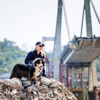 È morto Night Spirit, il cane poliziotto eroe del ponte Morandi